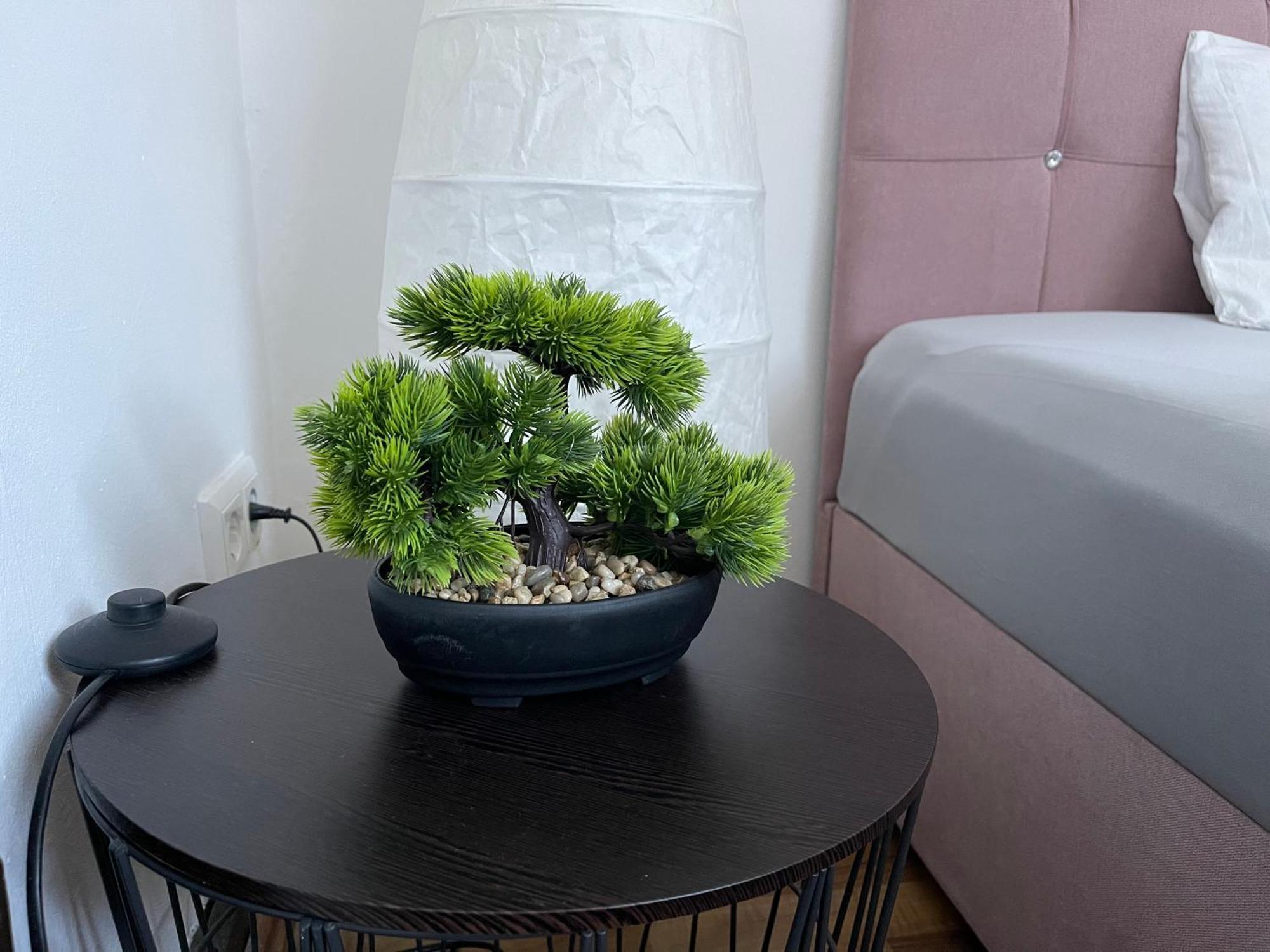 Geraeumige 3-Zimmer-Ferienwohnung Im Herzen Von 카셀 외부 사진